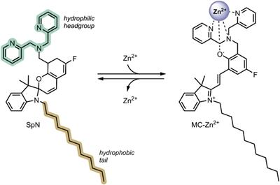 Spiropyran-Based Drug Delivery Systems